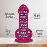 Funny Friendship Plaque Novelty Cheeky Birthday Gift For Friend