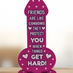 Funny Friendship Plaque Novelty Cheeky Birthday Gift For Friend