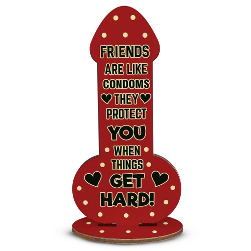 Funny Friendship Gift Novelty Christmas Birthday Gift For Friend