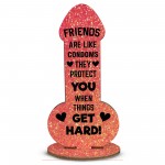 Funny Friendship Plaques Novelty Cheeky Birthday Gift For Friend