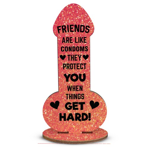 Funny Friendship Plaques Novelty Cheeky Birthday Gift For Friend