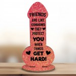 Funny Friendship Plaques Novelty Cheeky Birthday Gift For Friend