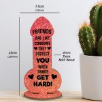 Funny Friendship Plaques Novelty Cheeky Birthday Gift For Friend