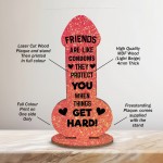 Funny Friendship Plaques Novelty Cheeky Birthday Gift For Friend