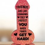 Funny Friendship Plaques Novelty Cheeky Birthday Gift For Friend