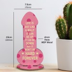 Funny Rude Friendship Plaque Novelty Christmas Birthday Gift