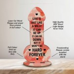 Funny Joke Friendship Plaque Birthday Gift For Best Friend