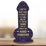 Funny Rude Friendship Plaque Novelty Birthday Best Friend Gift