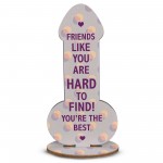 Friendship Funny Rude Plaque Novelty Birthday Best Friend Joke