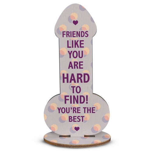 Friendship Funny Rude Plaque Novelty Birthday Best Friend Joke