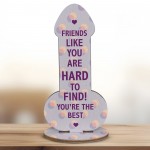 Friendship Funny Rude Plaque Novelty Birthday Best Friend Joke