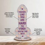 Friendship Funny Rude Plaque Novelty Birthday Best Friend Joke