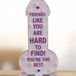 Friendship Funny Rude Plaque Novelty Birthday Best Friend Joke