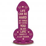 Funny Rude Plaque For Friend Family Partner Novelty Birthday