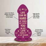 Funny Rude Plaque For Friend Family Partner Novelty Birthday