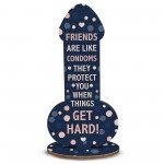 Novelty Friendship Plaque Funny Gift For Friend Novelty Birthday