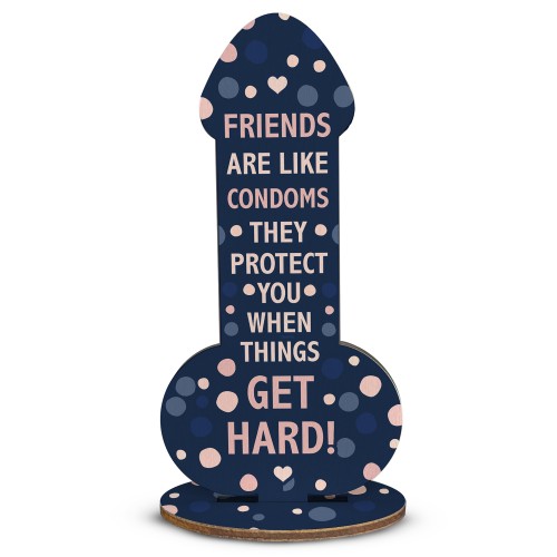 Novelty Friendship Plaque Funny Gift For Friend Novelty Birthday