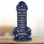 Novelty Friendship Plaque Funny Gift For Friend Novelty Birthday