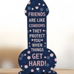 Novelty Friendship Plaque Funny Gift For Friend Novelty Birthday