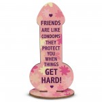 Rude Friendship Plaque Funny Joke Gift For Friend Birthday