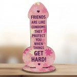 Rude Friendship Plaque Funny Joke Gift For Friend Birthday