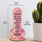 Rude Friendship Plaque Funny Joke Gift For Friend Birthday