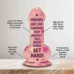 Rude Friendship Plaque Funny Joke Gift For Friend Birthday