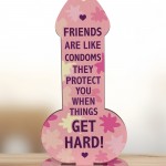 Rude Friendship Plaque Funny Joke Gift For Friend Birthday