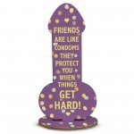 Funny Rude Friendship Plaque Novelty Joke Birthday Best Friend