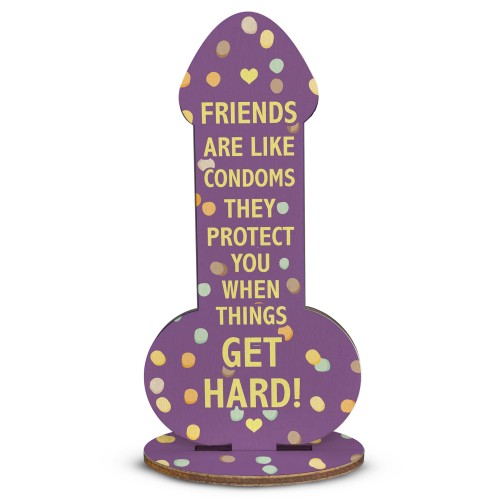 Funny Rude Friendship Plaque Novelty Joke Birthday Best Friend