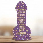 Funny Rude Friendship Plaque Novelty Joke Birthday Best Friend