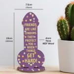 Funny Rude Friendship Plaque Novelty Joke Birthday Best Friend