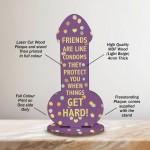 Funny Rude Friendship Plaque Novelty Joke Birthday Best Friend