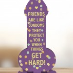 Funny Rude Friendship Plaque Novelty Joke Birthday Best Friend