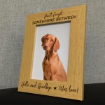 Pet Memorial Picture Frame Dog Cat Memorial Gift Animal Memorial