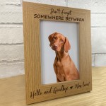 Pet Memorial Picture Frame Dog Cat Memorial Gift Animal Memorial