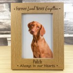 Personalised Pet Memorial 5x7 Frame Pet Memorial Gifts Dog Cat