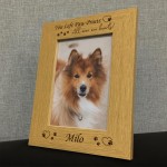 Pet Memorial 5x7 Oak Photo Frame Dog Memorial Gifts Sympathy