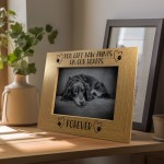 Dog Memorial Oak Photo Frame Paw Prints On Our Hearts Forever