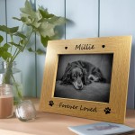 Personalised Dog Memorial Picture Frame Pet Dog Memorial Gift