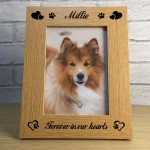 Beautiful Forever In Our Hearts Dog Memorial Photo Frame Pet