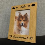 Beautiful Forever In Our Hearts Dog Memorial Photo Frame Pet