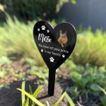 Personalised Cat Memorial Gifts, Customised With Photo and Text