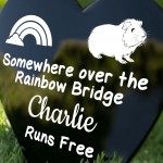 Personalised Guinea Pig Memorial Plaque Guinea Pig Gifts