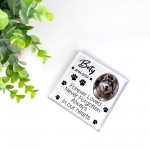 Pet Memorial Gifts Custom Pet Memorial Plaques Personalised