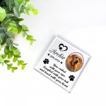 Freestanding Pet Memorial Plaque Photo Printed Personalised Dog 