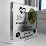 Personalised Pet Memorial Plaque Photo Dog Cat Memorial Sign