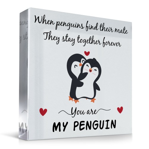 GIFT FOR MY PENGUIN Couple Anniversary Wedding Gifts for Him Her