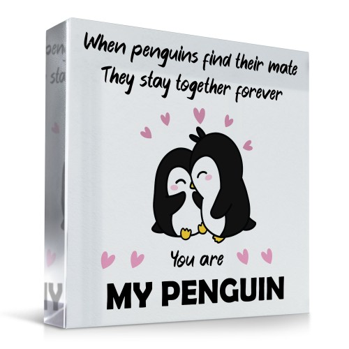 Penguin Gifts for Wife Husband Boyfriend Girlfriend Anniversary