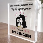 Penguin Gifts for Wife Husband Boyfriend Girlfriend Anniversary